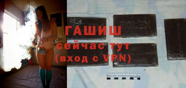 твердый Туринск